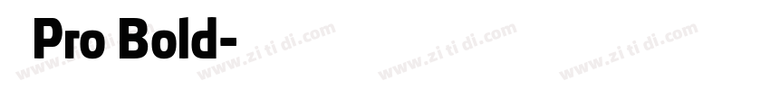 日产Pro Bold字体转换